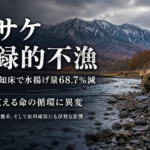 秋サケ水揚げ68.7%減、世界自然遺産・知床の生態系まで揺らした記録的不漁の実態