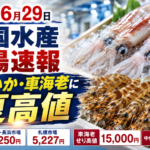 2026年6月29日 全国水産相場速報｜やりいか・車海老に夏高値