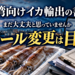 台湾のイカ需要が急拡大。書類を後回しにすると仕事がなくなる。