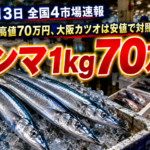 7月13日 全国4市場速報：サンマ最高値70万円、大阪カツオは安値で対照的