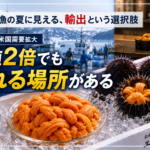 北海道でウニが不漁の年ほど、実は米国輸出のチャンスが大きく広がる