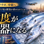 夏のタチウオが動き出した。UAEバイヤーが今年求める鮮度条件と輸出の窓口