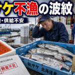 記録的不漁に伴う秋サケ減少と水産市場への影響