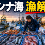 秋の海産物シーズン到来！東シナ海の漁解禁と市場への影響