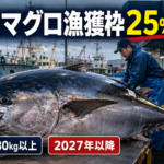 【2026年最新動向】太平洋クロマグロの漁獲枠が25％拡大へ！日本の食卓と水産業界への影響を徹底解説