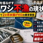 主要港でマイワシ水揚げが2か月ゼロ続く異変と市場への影響