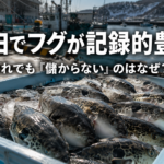 北海道・羅臼でフグが記録的豊漁、それでも「儲からない」とされる理由とは