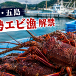 長崎・五島で伊勢エビ漁が解禁！旬の高級水産物が水揚げシーズンへ