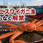 紅ズワイガニ漁まもなく解禁！資材高騰のなか豊漁と高単価に期待