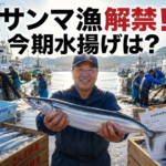 サンマ漁解禁と今期の水揚げ動向：秋の味覚を巡る最新市場見通し