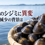 茨城・涸沼でシジミ不漁　3年前の10分の1以下と報じられた資源減少の背景は