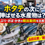 ホタテの次に伸ばせる水産物は？ ぶり・さば・かきの輸出動向を比較する