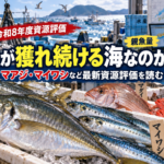 水産資源評価, マアジ, マイワシ, マダイ, キンメダイ, 水産ニュース, 資源管理, 水産物